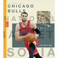 The Story of the Chicago Bulls