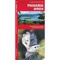 Panama Birds: A Folding Pocket Guide to Familiar Species