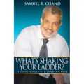 What's Shaking Your Ladder?: 15 Challenges All Leaders Face