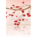 Japanese Writing Practice Book: Small Japanese Language Character Writing Practice Workbook: Kanji, Kana, Hiragana or Katakana Genkouyoushi Paper: 150