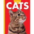 Curious about Cats