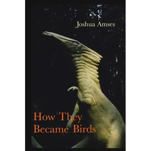 How They Became Birds