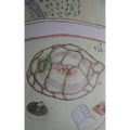 The Turtle Test