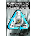 RECUPERACIÓN DEL PLATINO Y OTROS PGMs A PARTIR DE CATALIZADORES CATALÍTICOS