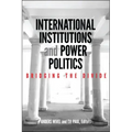 International Institutions and Power Politics: Bridging the Divide