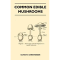Common Edible Mushrooms