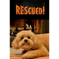 Rescued!