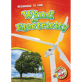 Wind to Electricity
