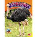 Ostriches