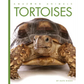Tortoises