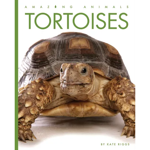 Tortoises