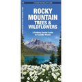 Rocky Mountain Trees & Wildflowers: A Folding Pocket Guide to Familiar Plants