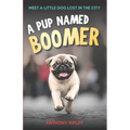 A Pup Named Boomer: Dog Adventures and Friendship for Kids Ages 8-12 - A Perfect Chapter Book for Animal Lovers! (Chapter Books for Kids)