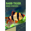 Barb Tiger: From Novice to Expert. Comprehensive Aquarium Fish Guide