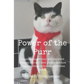 Power Of The Purr: A fascinating journey into the bond between cats and their people and how to resolve feline behaviour problems kindly