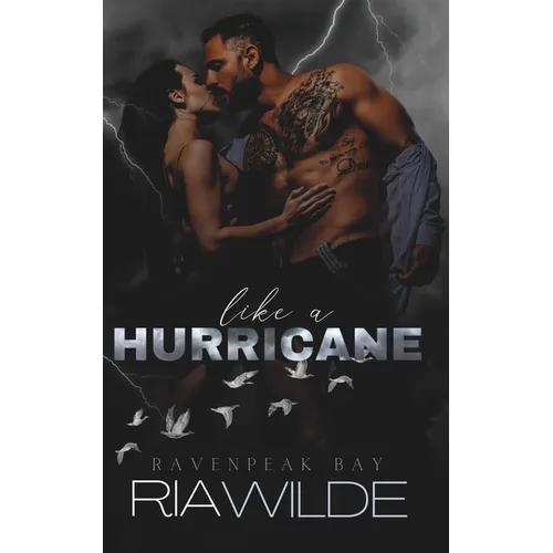 Like a Hurricane: A dark smalltown romance