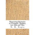 Representing Information in a Computer: Numbers, Text, Audio and Video