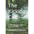 The Kicking Colt: A Step with and a Step Away from Plato