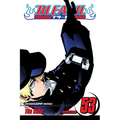 Bleach, Vol. 53