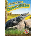 Crocodiles