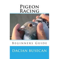 Pigeon Racing: Beginners Guide
