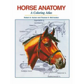 Horse Anatomy: A Coloring Atlas