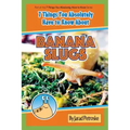 The 7 Things You Absolutely Have to Know About Banana Slugs