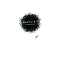 Mayflies