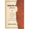 Banking on Slavery: Financing Southern Expansion in the Antebellum United States