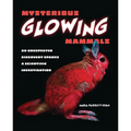 Mysterious Glowing Mammals: An Unexpected Discovery Sparks a Scientific Investigation