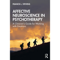 Affective Neuroscience in Psychotherapy: A Clinician's Guide for Working with Emotions