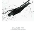 Charles Ray: Figure Ground