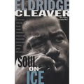 Soul on Ice