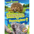 Hedgehog or Porcupine?