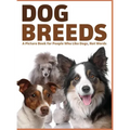 Dog Breeds: A Picture Book for People Who Like Dogs, Not Words