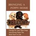 Bringing A Puppy Home: Caring For Your New Dogs And Giving Them The Best Start In Life: Raise The Perfect Dog