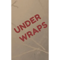 Under Wraps: Password Keeper