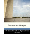 Muscadine Grapes