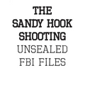 The Sandy Hook Shooting: The FBI Files: Unsealed Files on Adam Lanza & The Sandy Hook Shooting