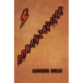 Bonanzaville