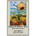 DeSavyok Elfhame Tarot Special Edition Guidebook