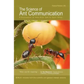The Science of Ant Communication: A Discussion of How Ants Talk to Each Other