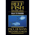 Reef Fish Identification: Baja to Panama