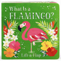 What Is a Flamingo?