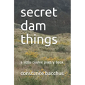 secret dam things: a little coulee poetry book