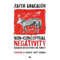 Non-Conceptual Negativity: Damaged Reflections on Turkey