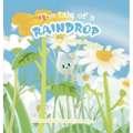 The tale of a raindrop