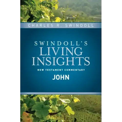Insights on John
