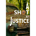 A Shot at Justice: A Highly Addictive Vigilante Story