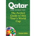 Qatar 2022 World Cup: The Perfect Guide to this year's World Cup